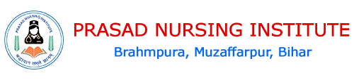 Prasad Nursing Institute